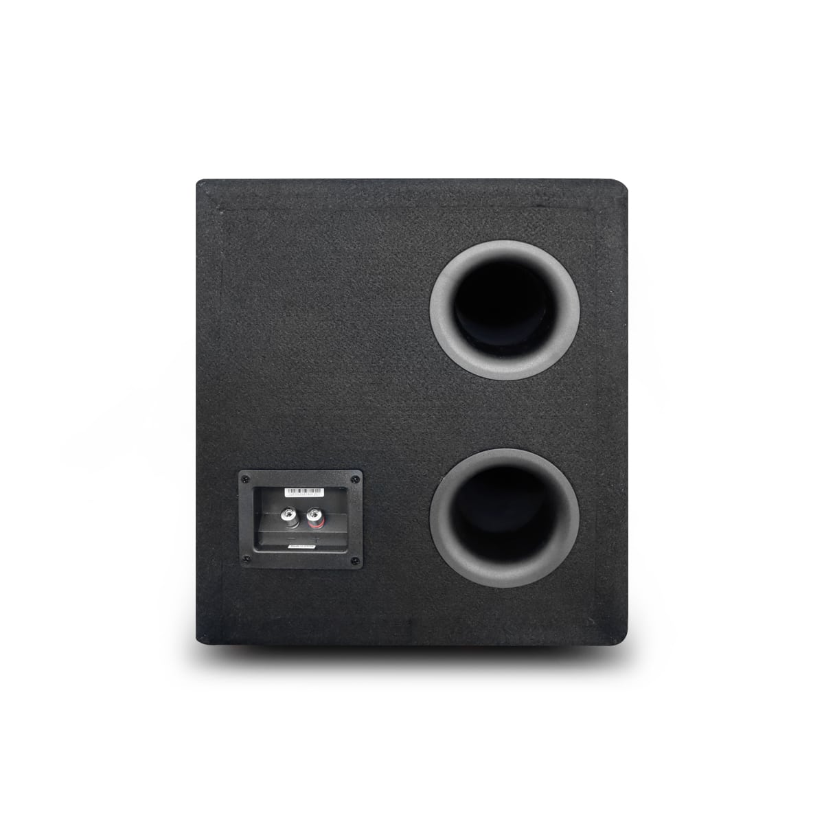 EWXPW12-2B : Dual 12" Subwoofer Bass Crate Enclosure