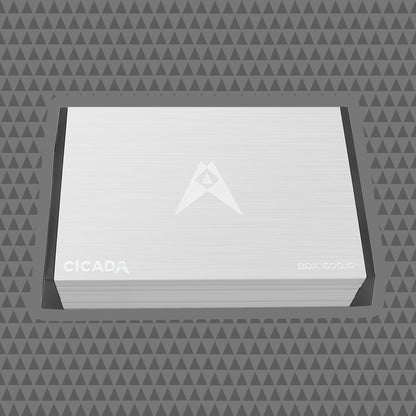 BDA16001D 1600W Monoblock Amplifier For Motorcyclists Delivers Thunderous Bass And Clean Power