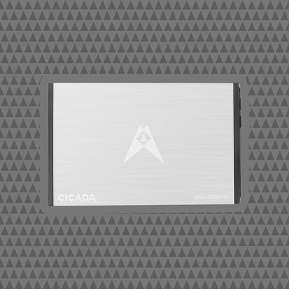 BDA16001D 1600W Monoblock Amplifier For Motorcyclists Delivers Thunderous Bass And Clean Power