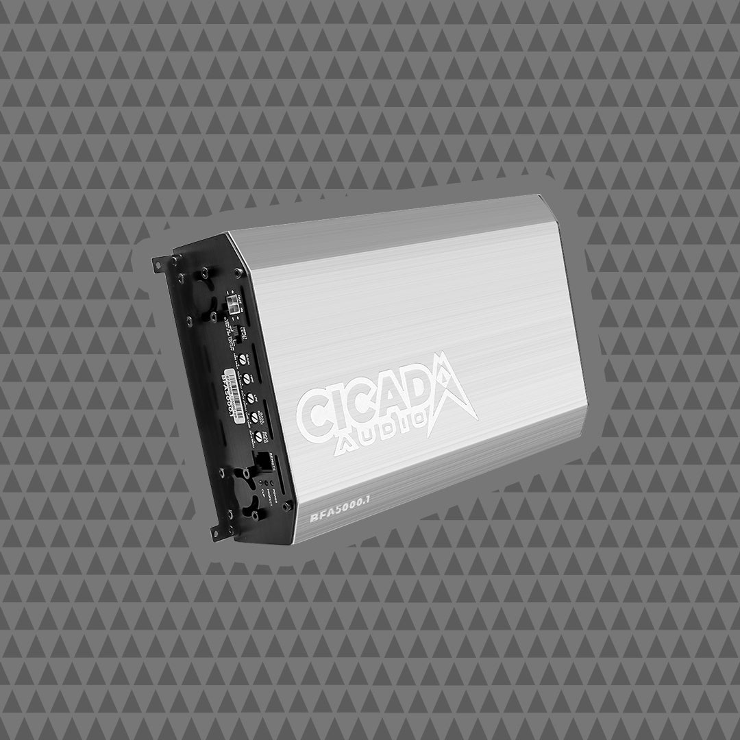 5000W x 1 MONO CLASS D AMPLIFIER