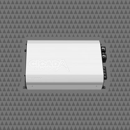 5000W x 1 MONO CLASS D AMPLIFIER