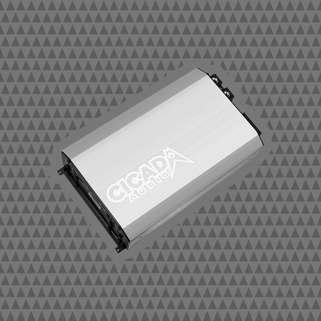 5000W x 1 MONO CLASS D AMPLIFIER