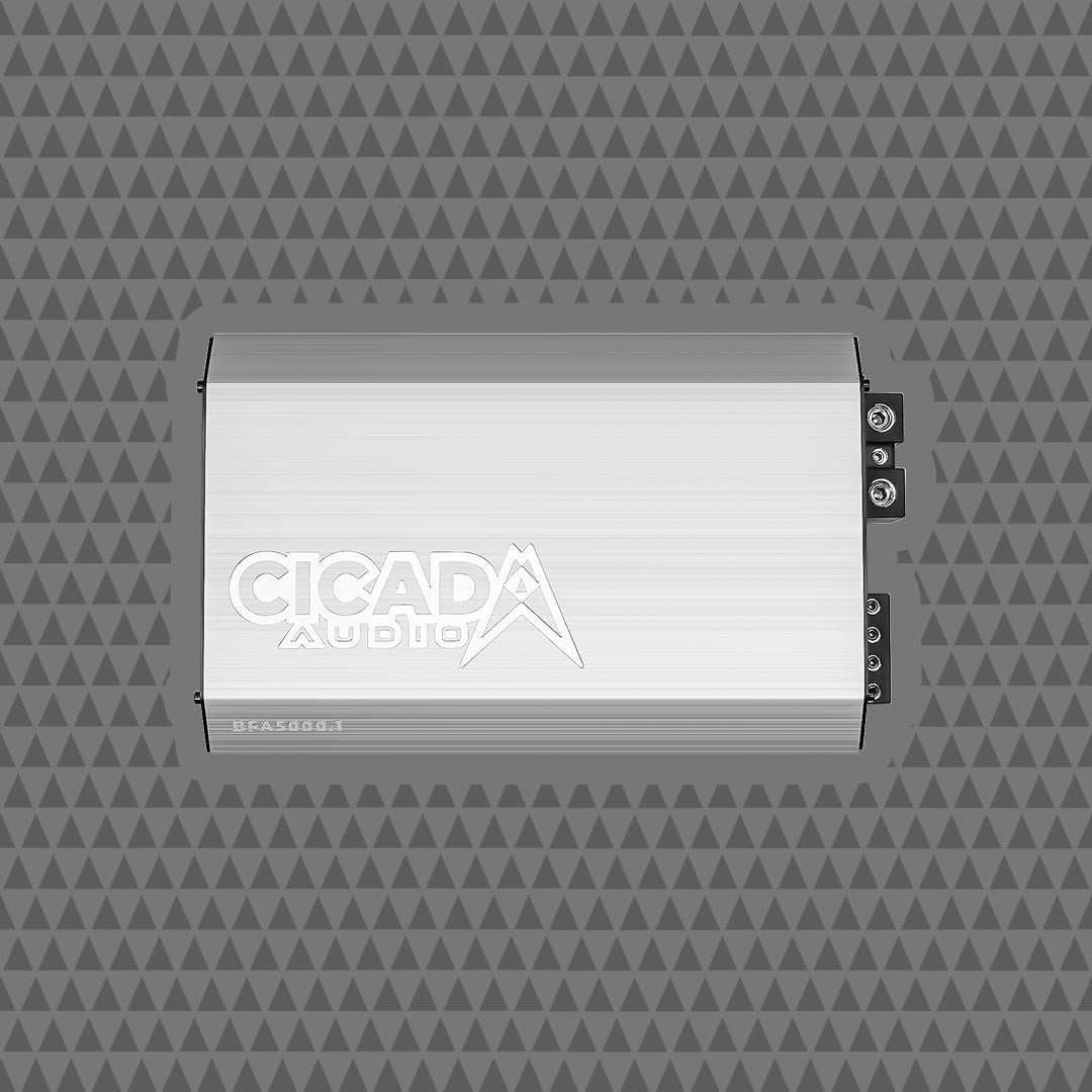 5000W x 1 MONO CLASS D AMPLIFIER