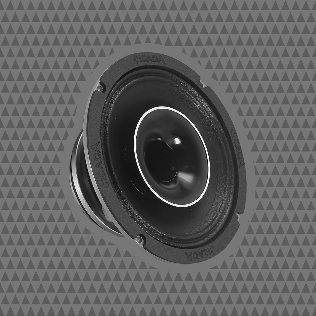 6.5-INCH COAXIAL HORN SPEAKERS – 2Ω