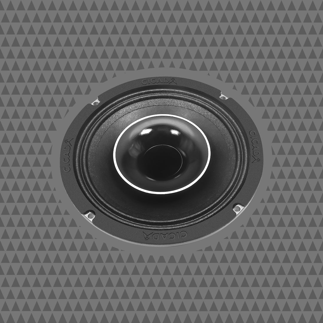 6.5-INCH COAXIAL HORN SPEAKERS – 2Ω