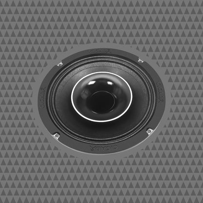 6.5-INCH COAXIAL HORN SPEAKERS – 2Ω