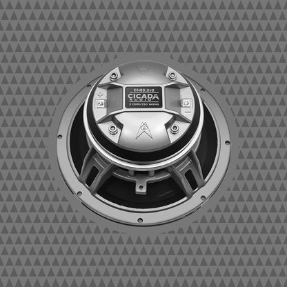 6.5-INCH COAXIAL HORN SPEAKERS – 2Ω