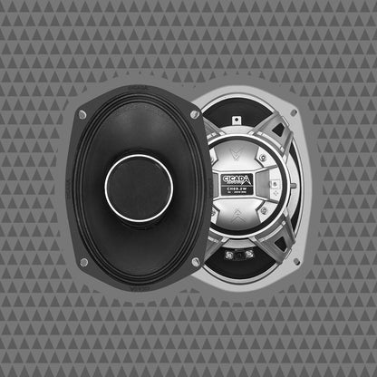 6×9-INCH COAXIAL HORN SPEAKERS – 2Ω