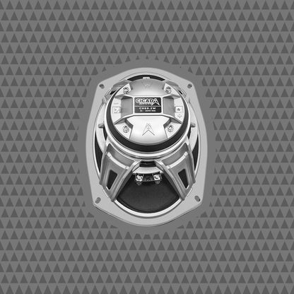6×9-INCH COAXIAL HORN SPEAKERS – 2Ω
