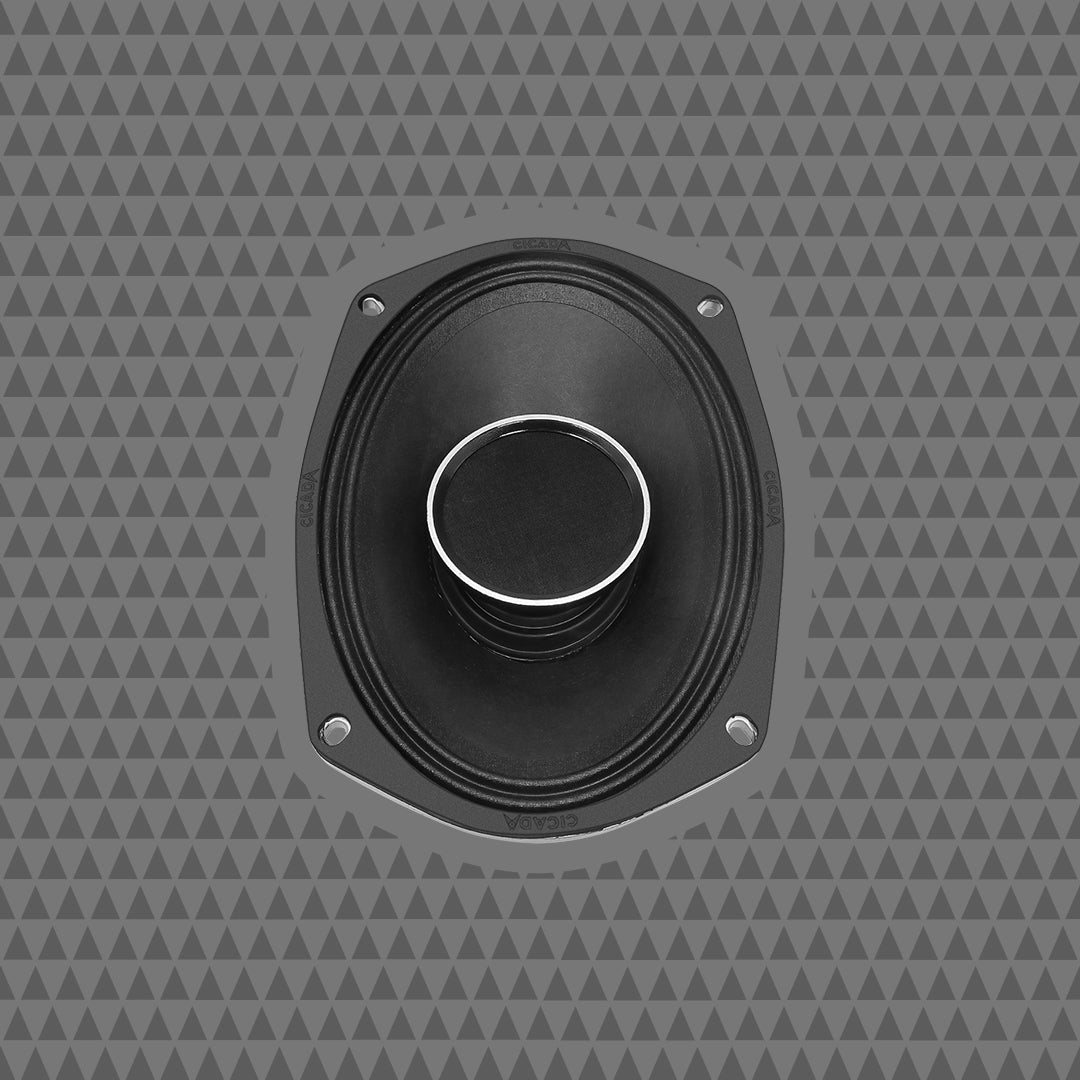 6×9-INCH COAXIAL HORN SPEAKERS – 4Ω