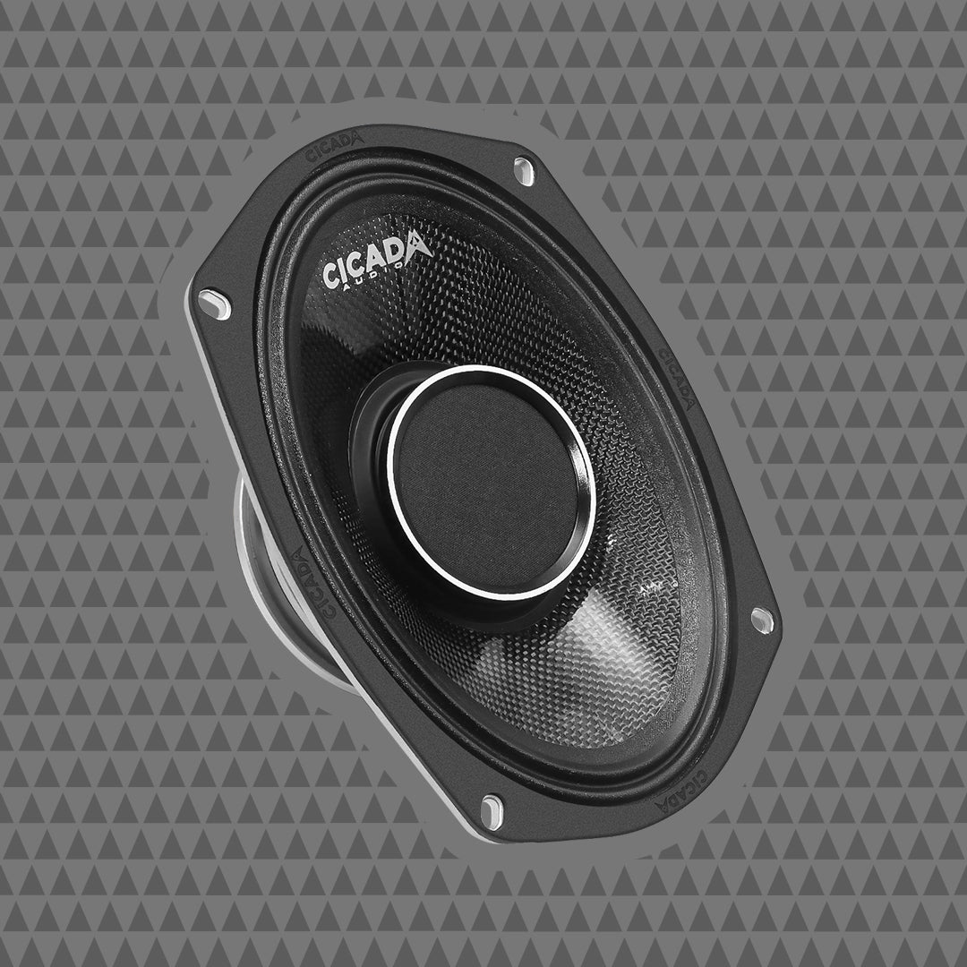 6×9″ Pro Coax Horn Speakers – 2Ω