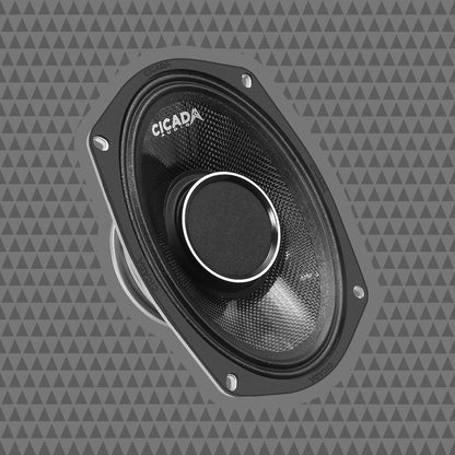 6×9″ Pro Coax Horn Speakers – 2Ω