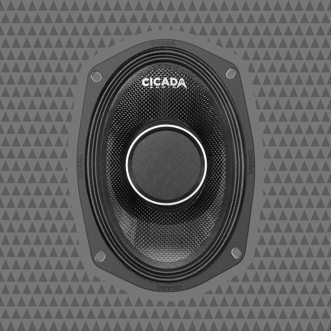 6×9″ Pro Coax Horn Speakers – 4Ω