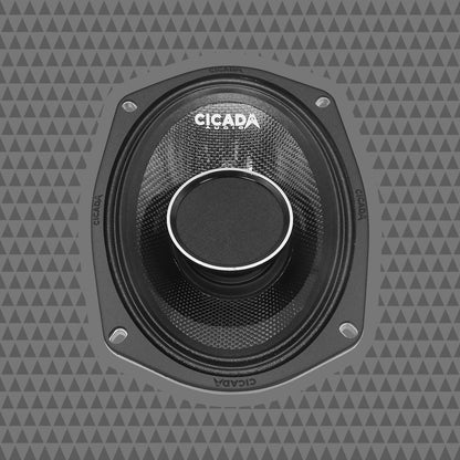 6×9″ Pro Coax Horn Speakers – 4Ω