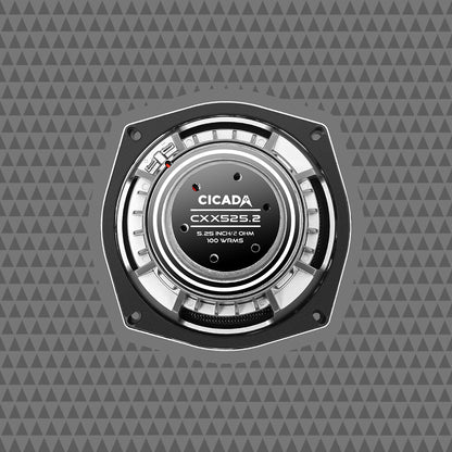 5.25-INCH PRO COAXIAL SPEAKERS – 2Ω