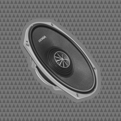 6×9-INCH PRO COAXIAL SPEAKERS – 2Ω