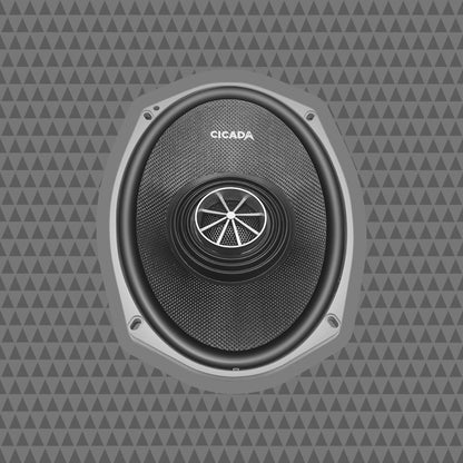 6×9-INCH PRO COAXIAL SPEAKERS – 2Ω