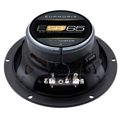 ESR65 : Reference 6.5" 2-way Loudspeaker (Pair)