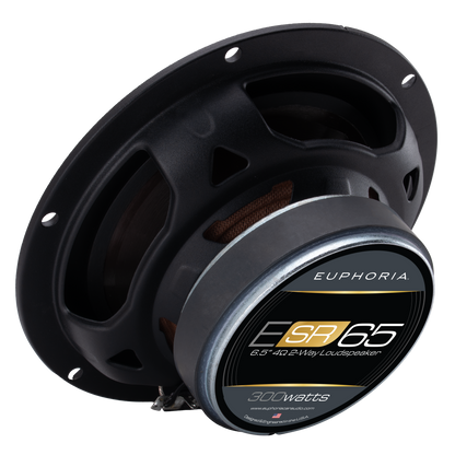 ESR65 : Reference 6.5" 2-way Loudspeaker (Pair)