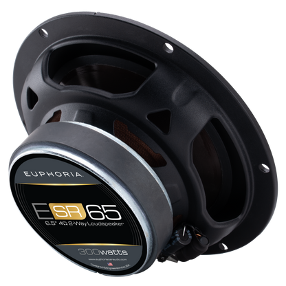 ESR65 : Reference 6.5" 2-way Loudspeaker (Pair)