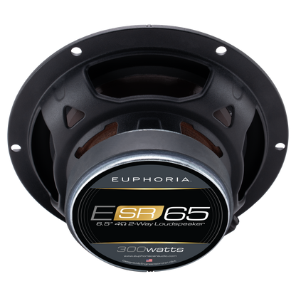 ESR65 : Reference 6.5" 2-way Loudspeaker (Pair)