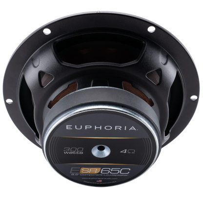 ESR65C : Reference 6.5" Component Loudspeaker