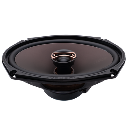 ESR69 : Reference 6"×9" 2-way Loudspeaker (Pair)