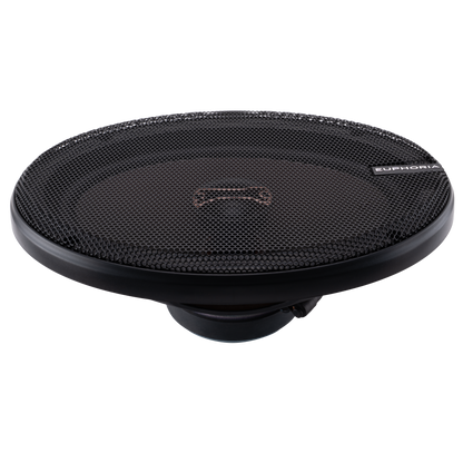 ESR69 : Reference 6"×9" 2-way Loudspeaker (Pair)