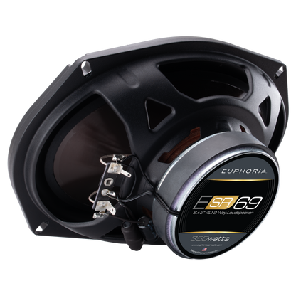 ESR69 : Reference 6"×9" 2-way Loudspeaker (Pair)