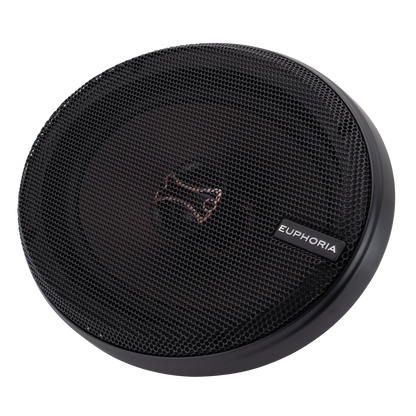 ESR69 : Reference 6"×9" 2-way Loudspeaker (Pair)