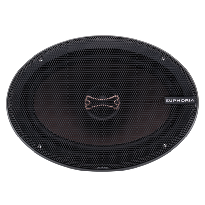 ESR69 : Reference 6"×9" 2-way Loudspeaker (Pair)