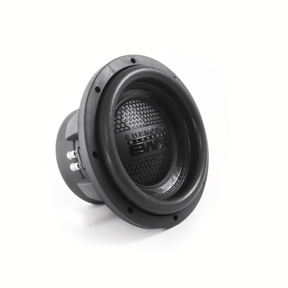 EWXB10D4 : 10" Dual 4-Ohm Subwoofer Black Out Edition
