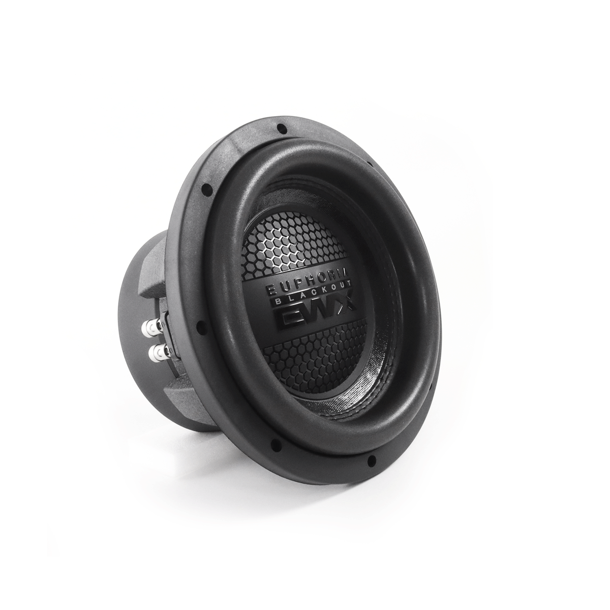EWXB10D2 : 10" Dual 2-Ohm Subwoofer Black Out Edition