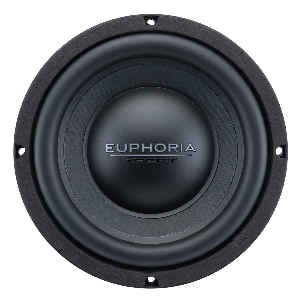 EX10NMB : 10" Die-Cast NEO Midbass