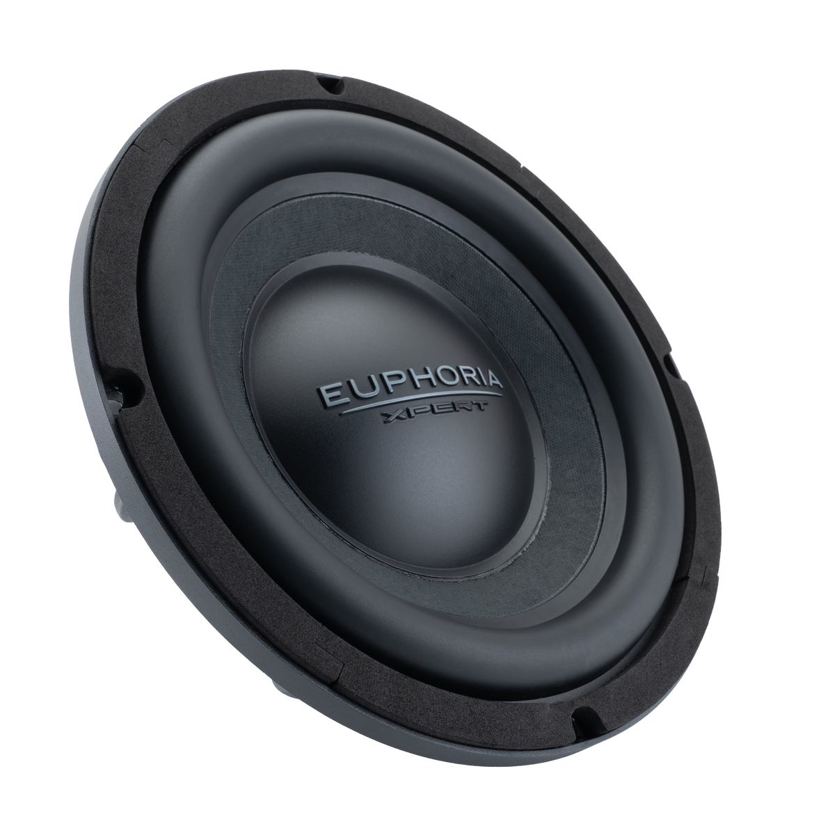 EX10NMB : 10" Die-Cast NEO Midbass