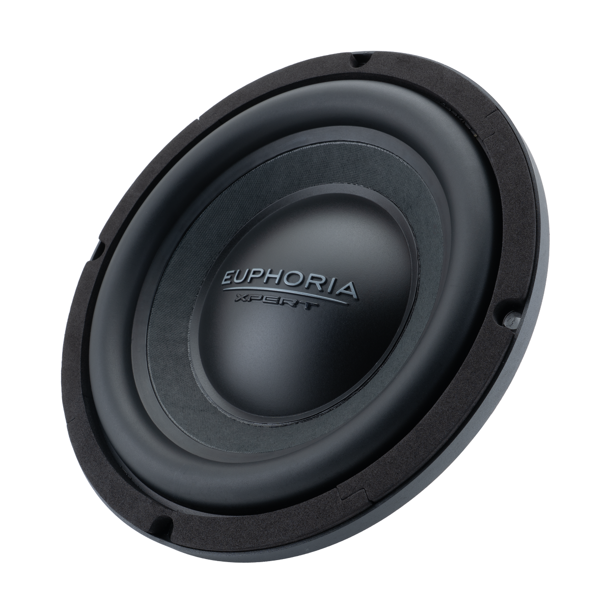 EX10NMB : 10" Die-Cast NEO Midbass